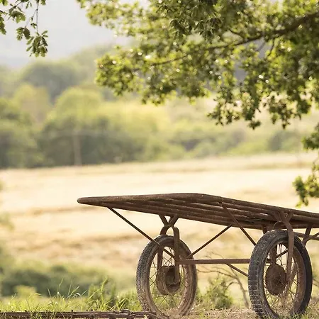 Pomonte Орвието