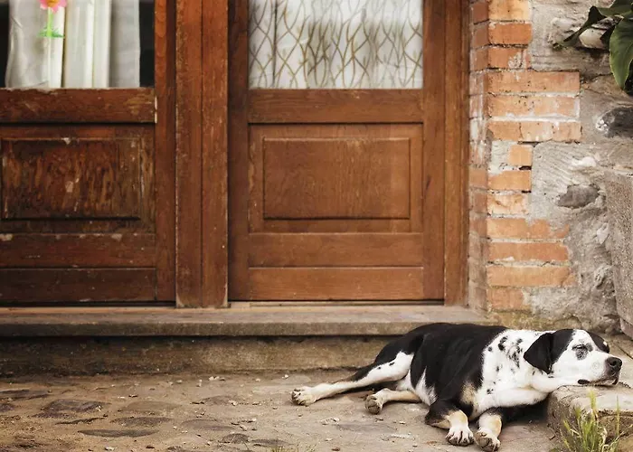 Séjour à la ferme Pomonte